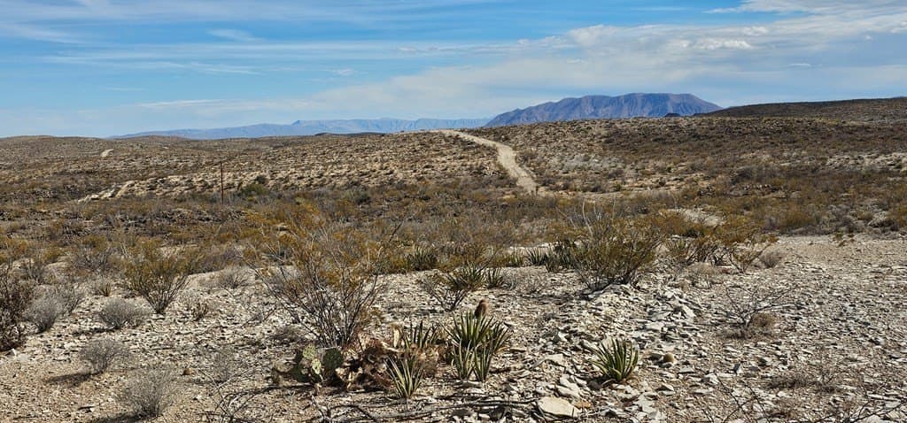 21 acres in Brewster County - photo 12