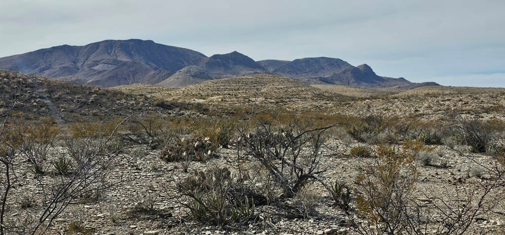 21 acres in Brewster County gallery image 3