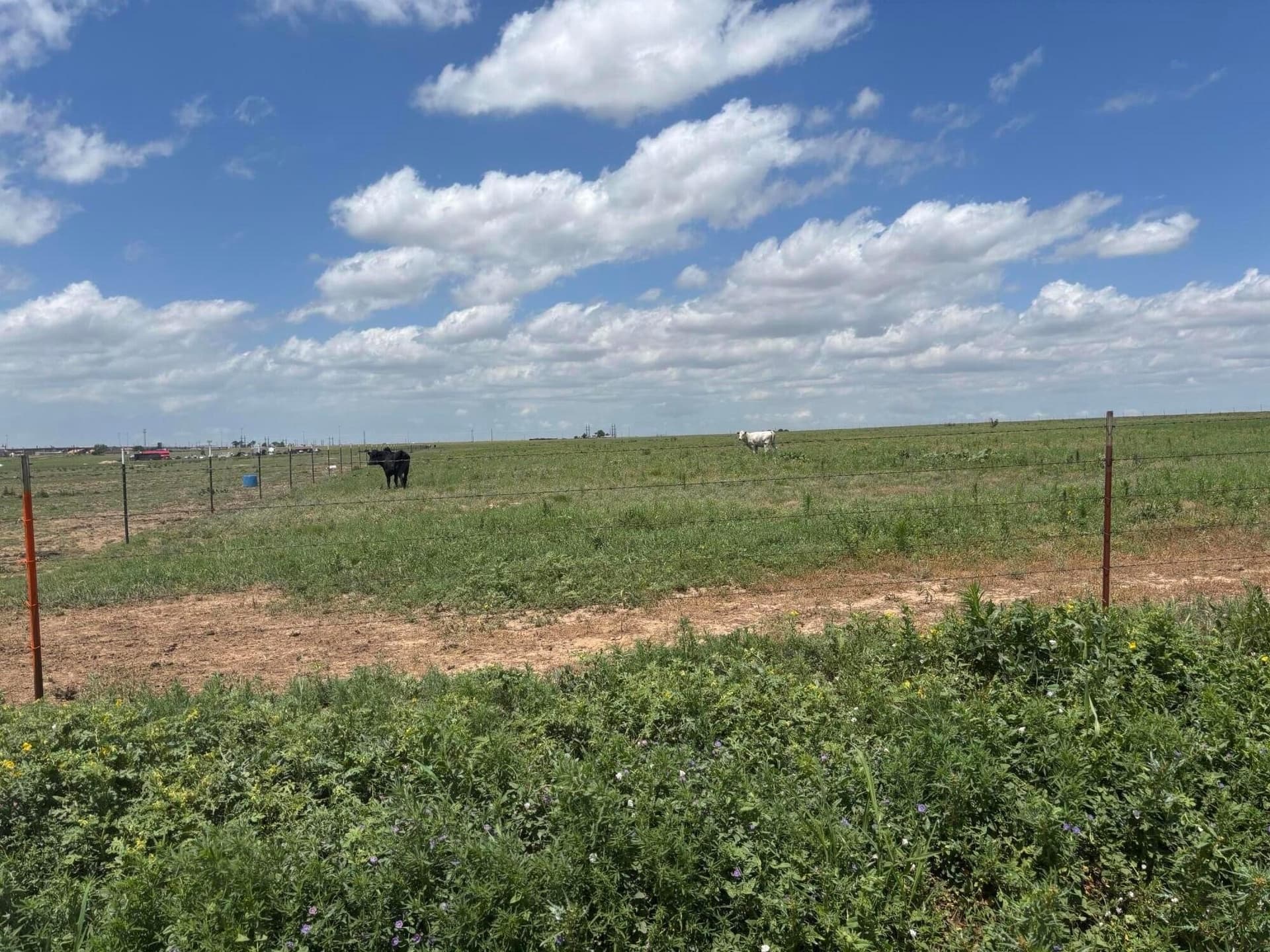 14.83 acres in Randall County
