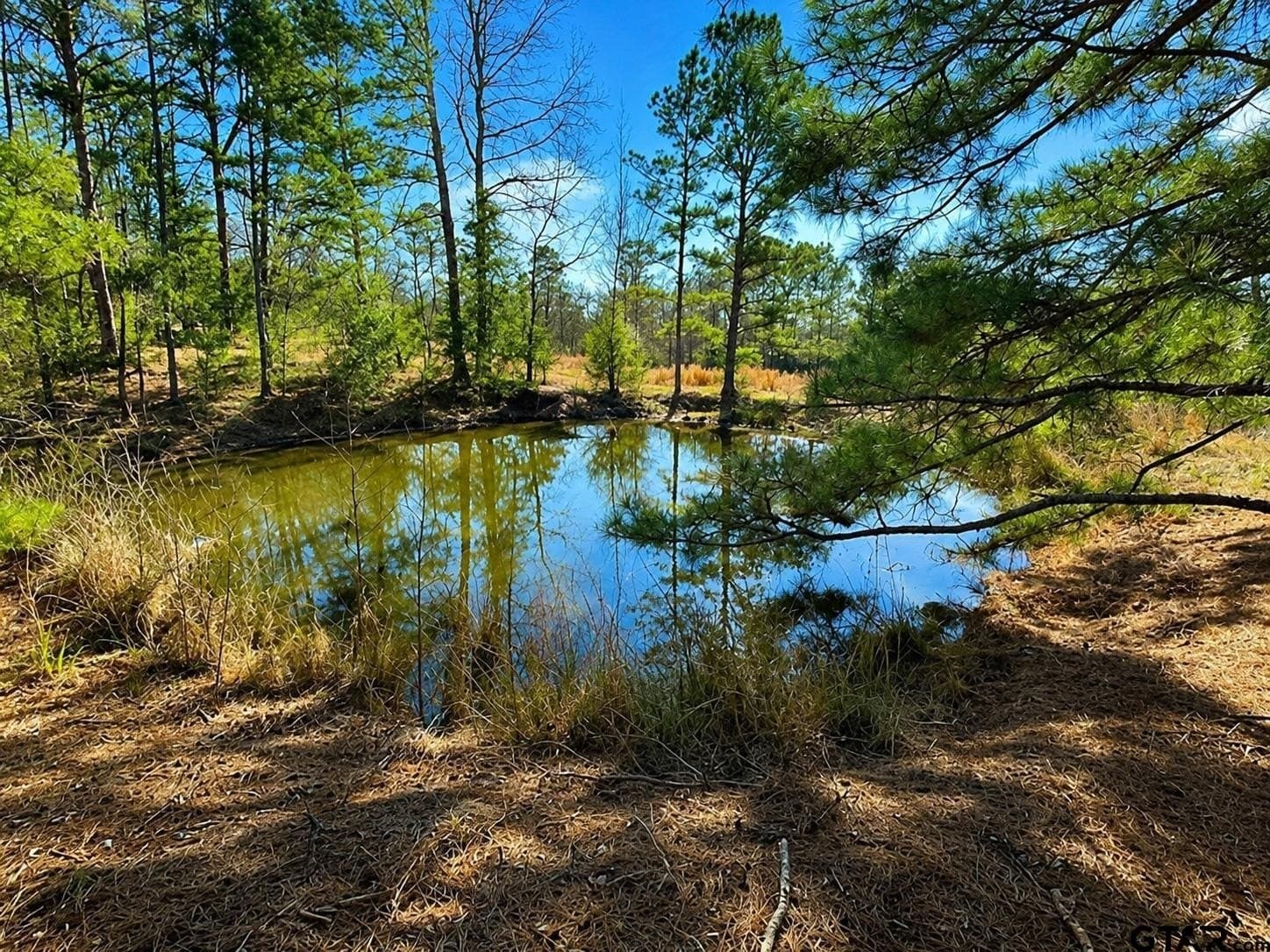 111.7 acres in Wood County gallery image 2