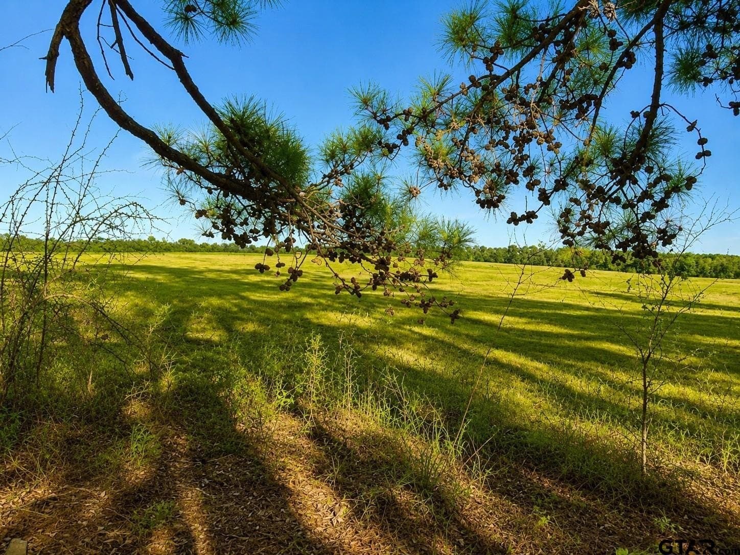 111.7 acres in Wood County - photo 10