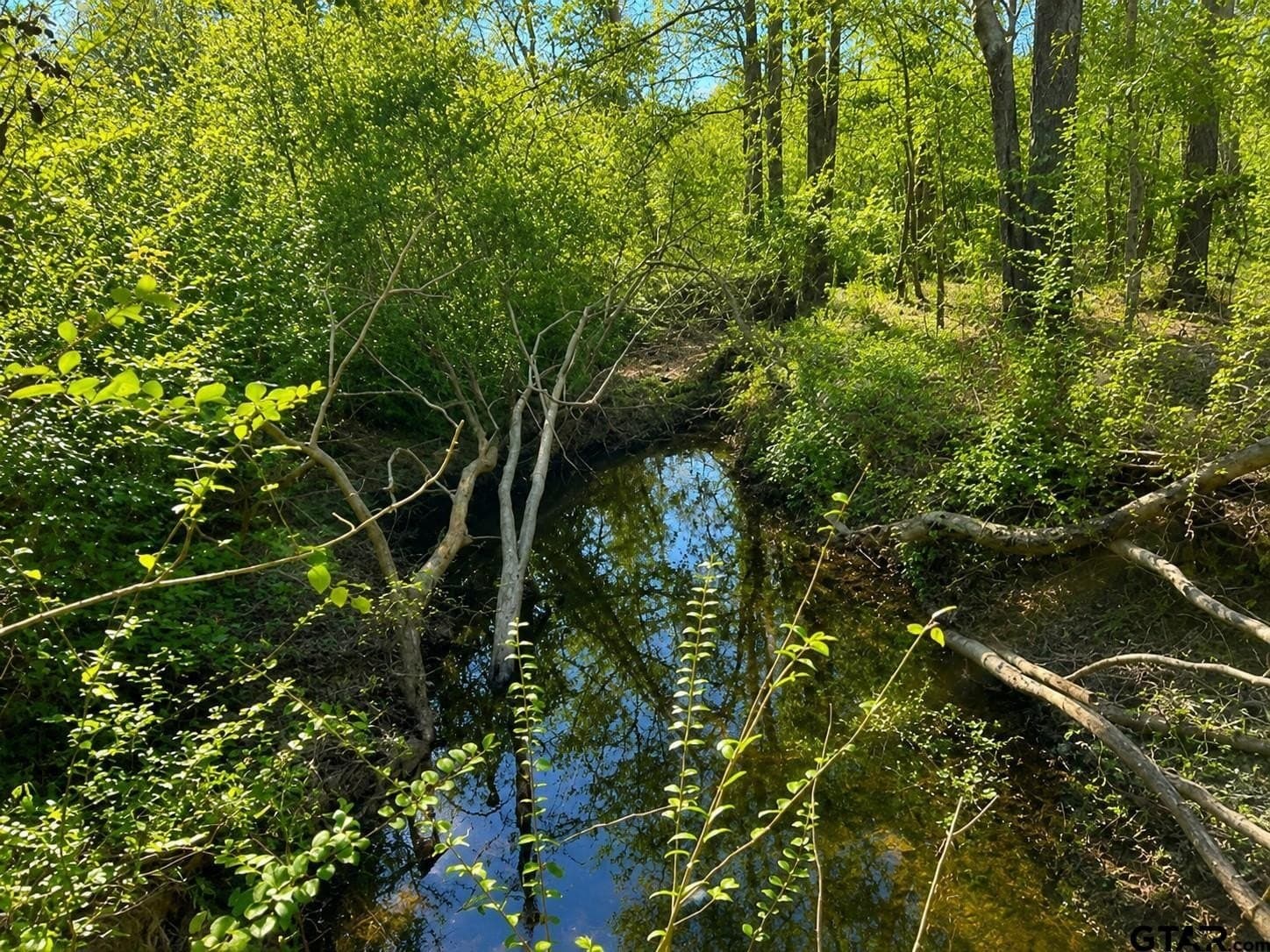 111.7 acres in Wood County - photo 7