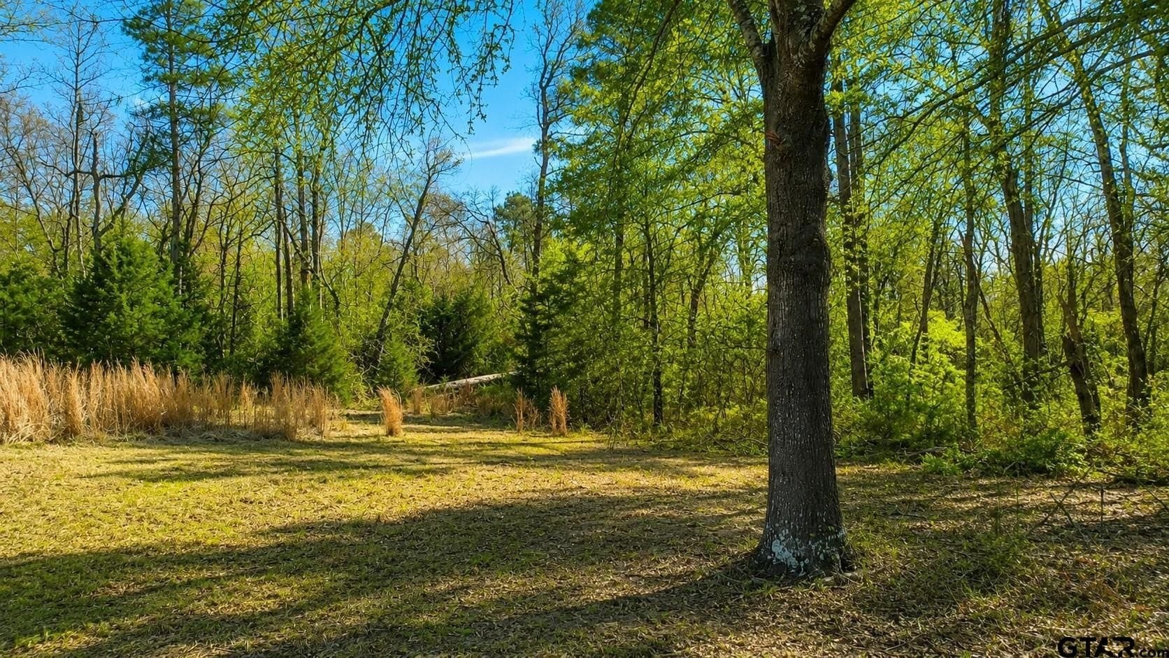 111.7 acres in Wood County - photo 6