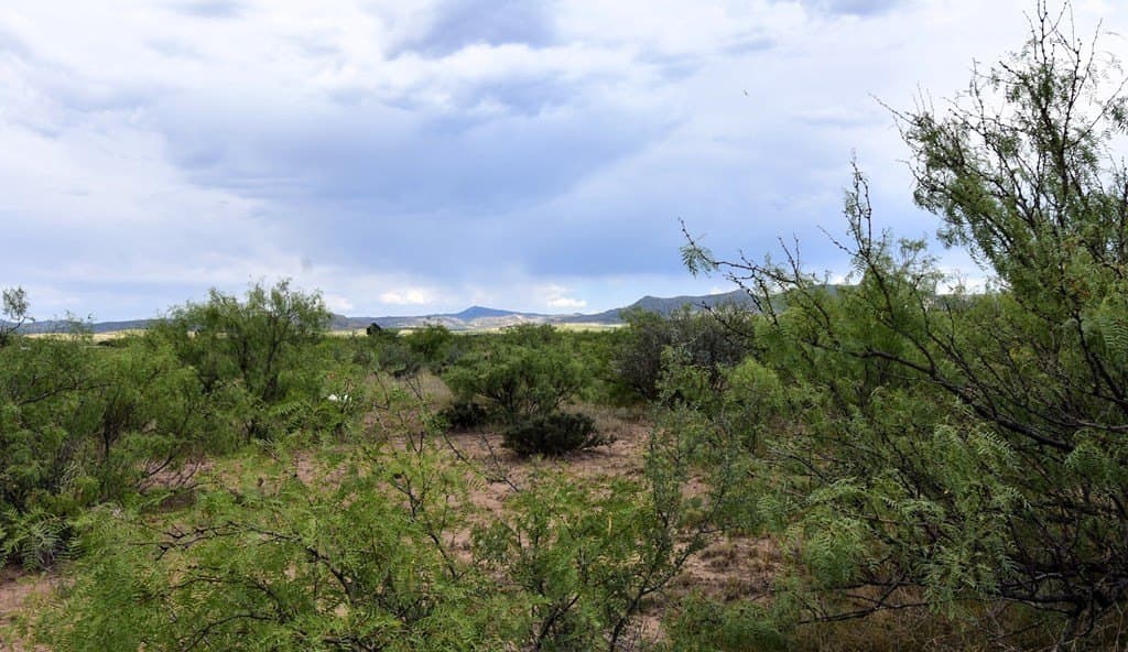 1 acres in Brewster County featured view