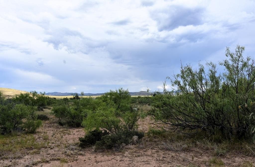 1 acres in Brewster County - photo 6
