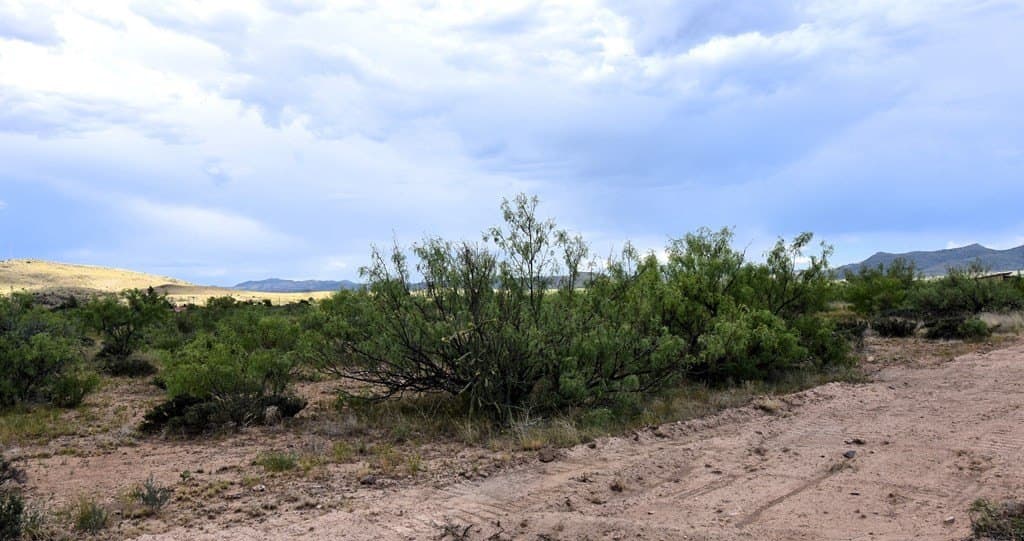 1 acres in Brewster County gallery image 2