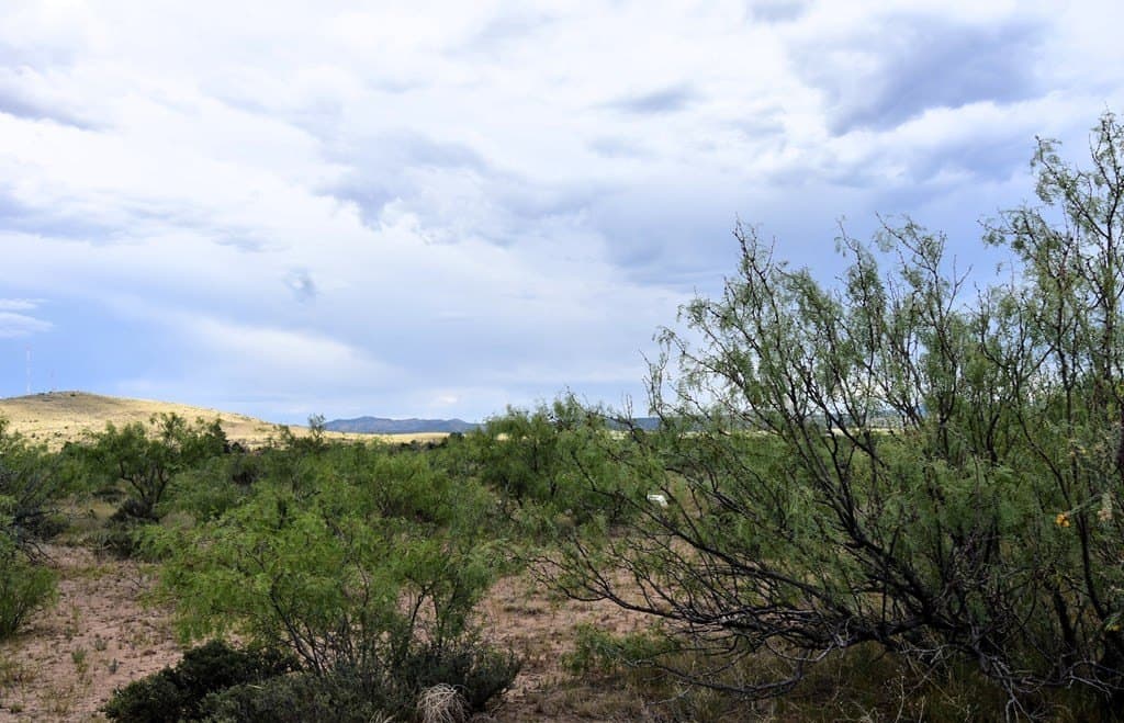 1 acres in Brewster County gallery image 3