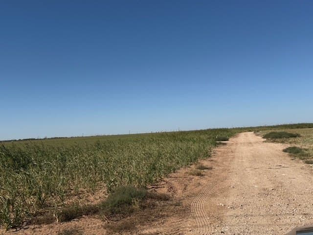 197 acres in Howard County - photo 4