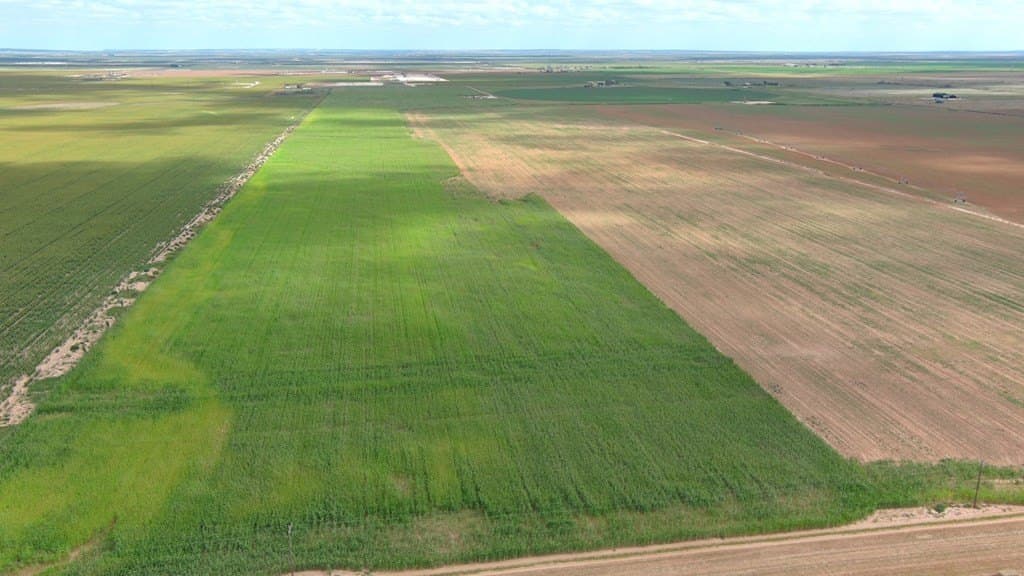 197 acres in Howard County - photo 18