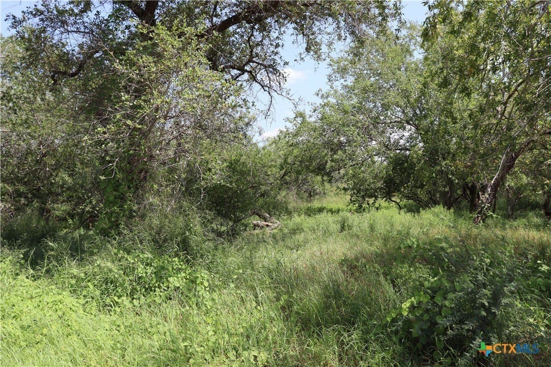21 acres in San Patricio County - photo 8