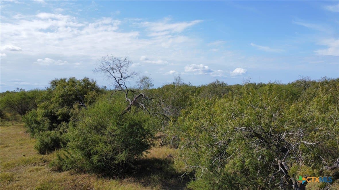 21 acres in San Patricio County - photo 11