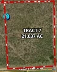 21 acres in San Patricio County - photo 12