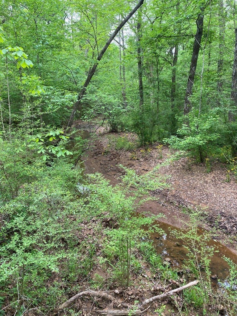 10.08 acres in Texas County gallery image 3