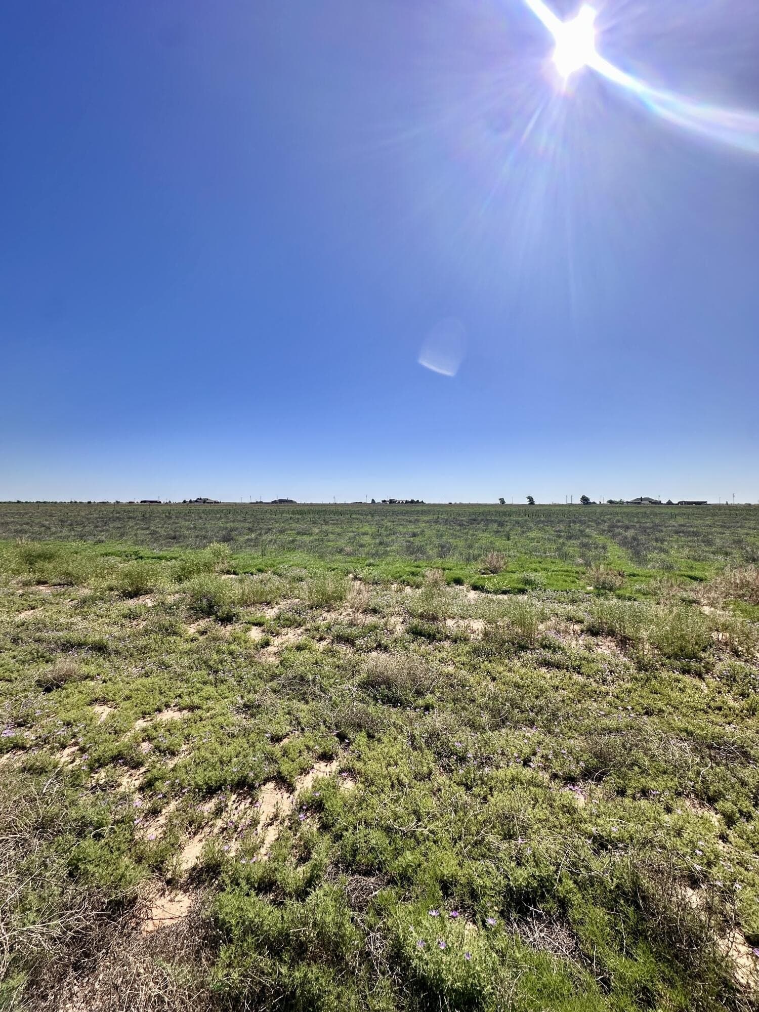 10.01 acres in Hockley County