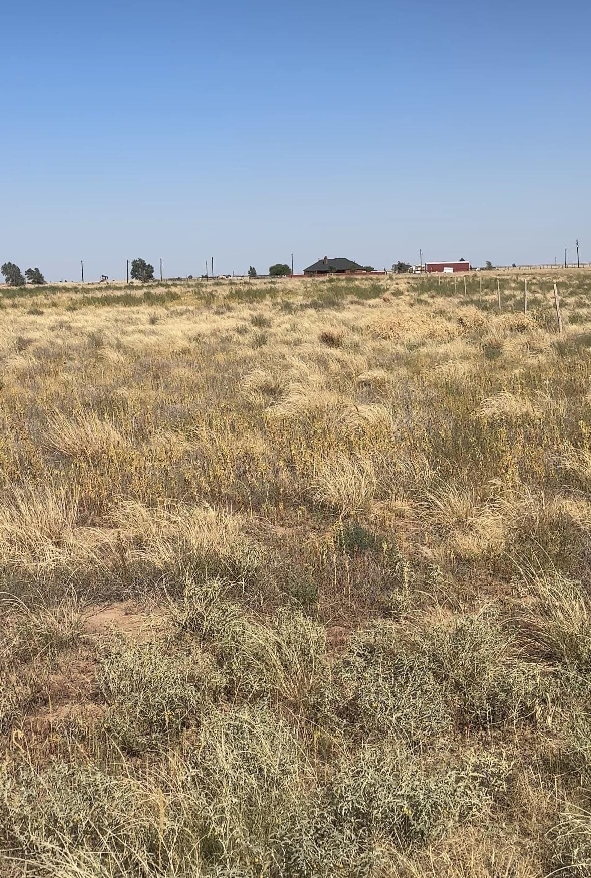 10.01 acres in Hockley County - photo 2