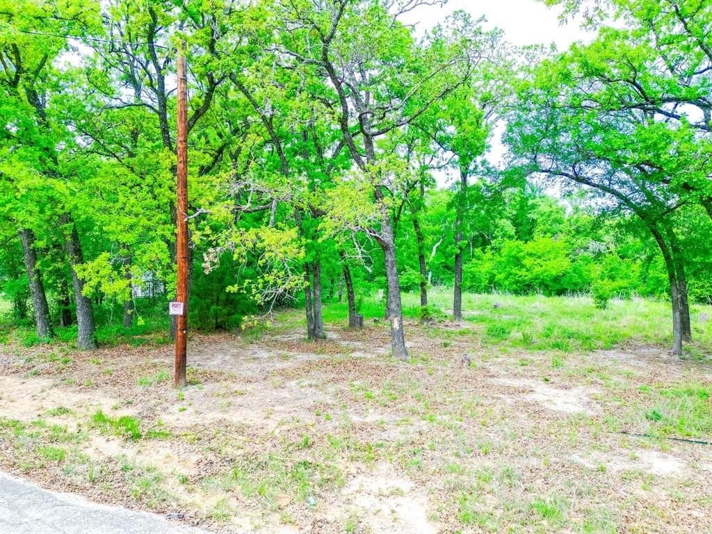 0.63 acres in Parker County featured view