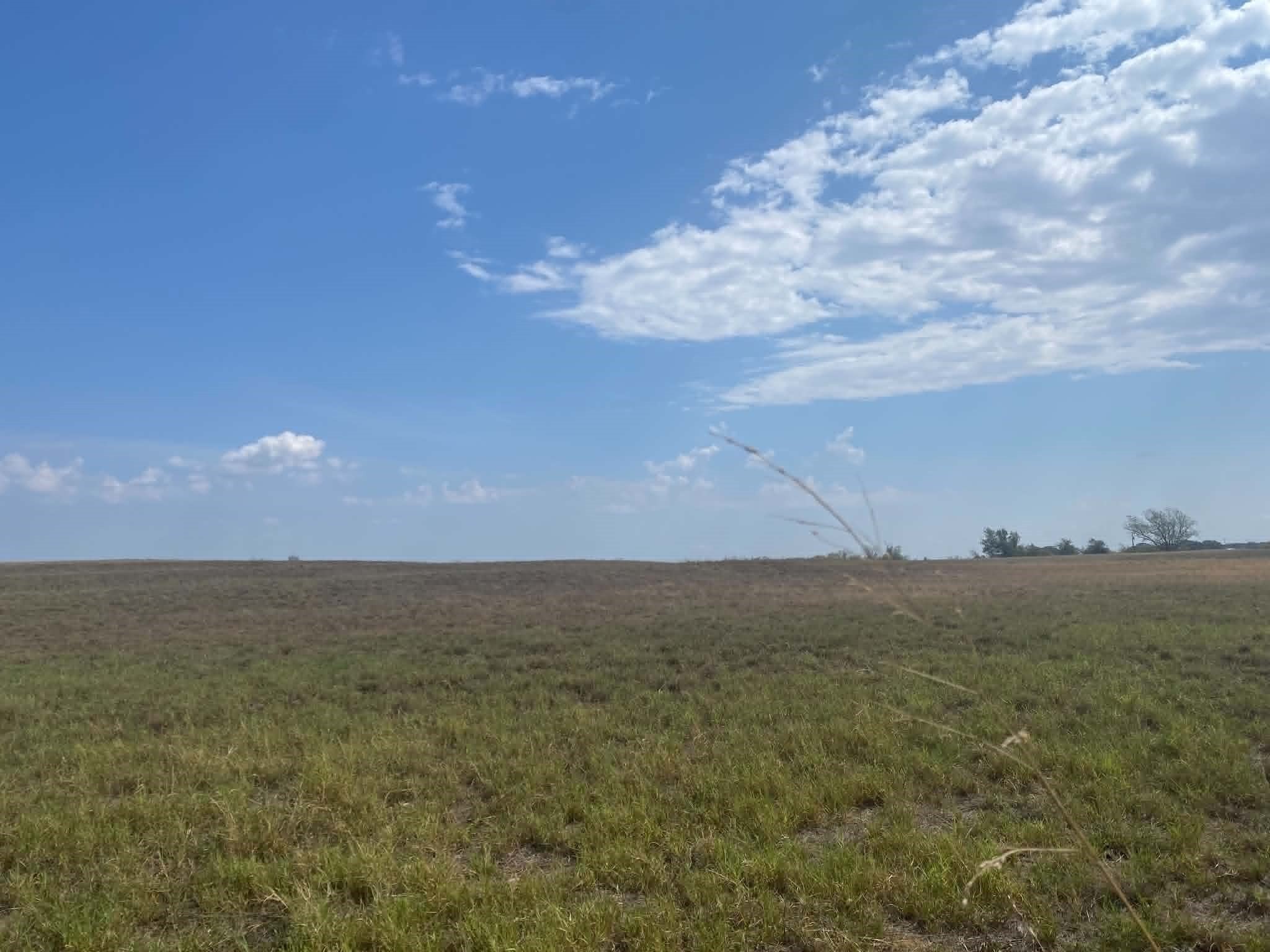 30.64 acres in Erath County - photo 14