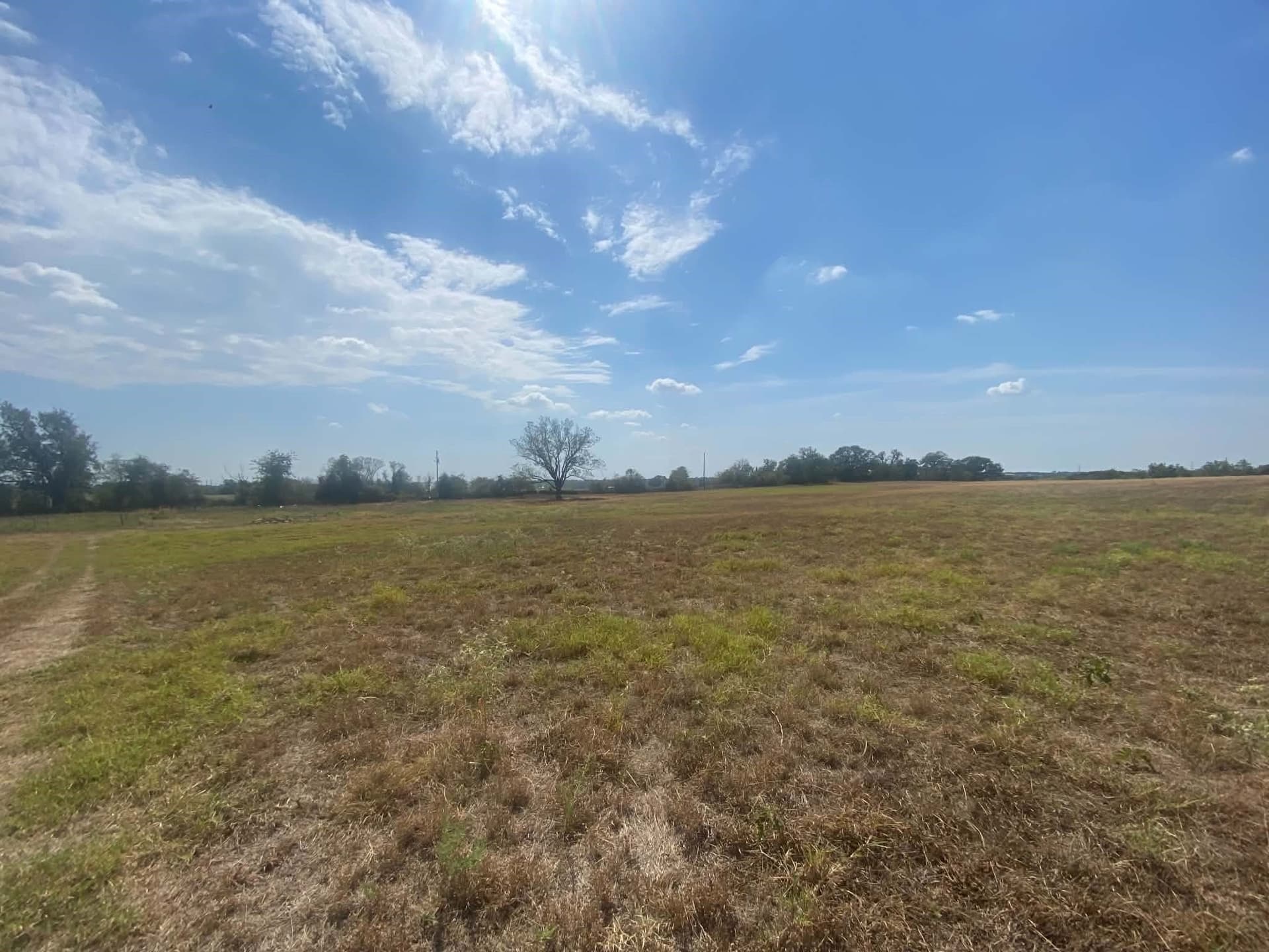 30.64 acres in Erath County - photo 11