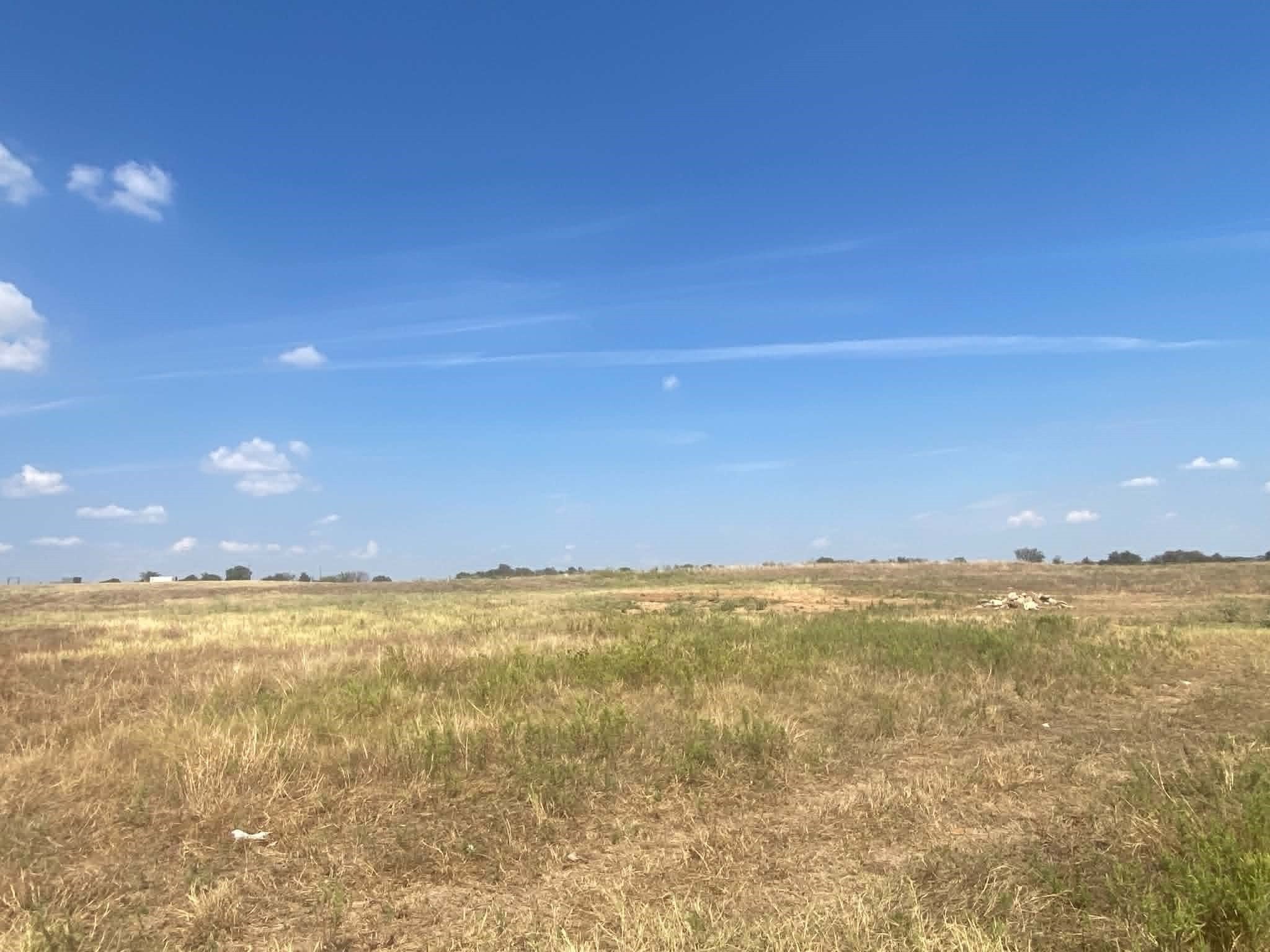 30.64 acres in Erath County - photo 8