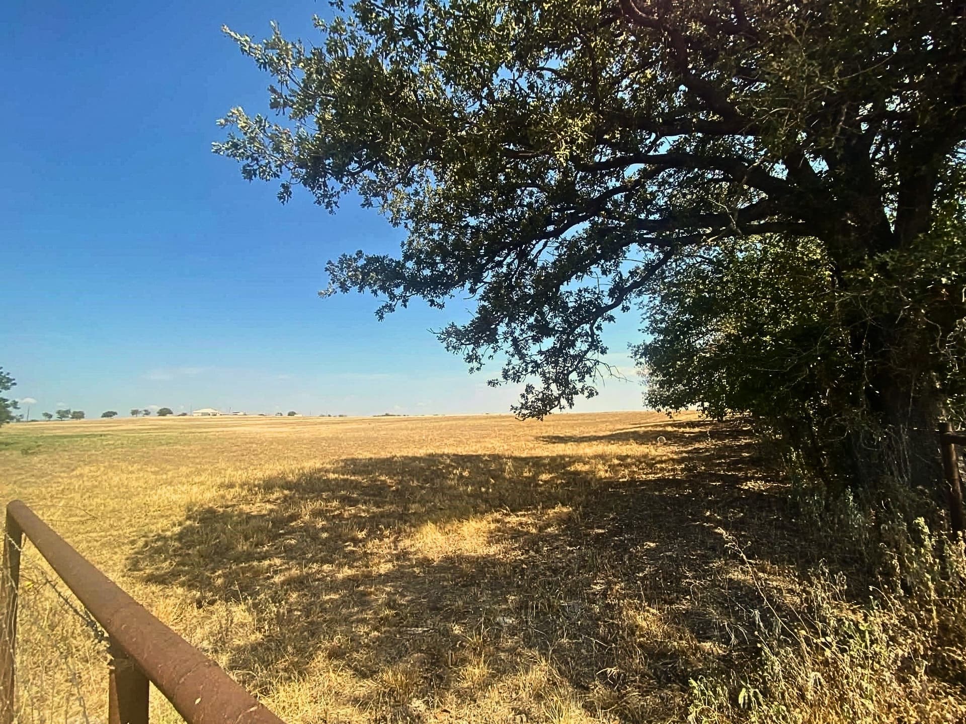 30.64 acres in Erath County - photo 17