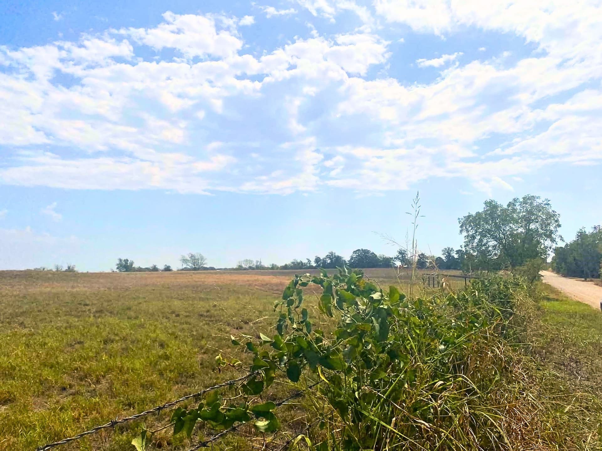 30.64 acres in Erath County - photo 16