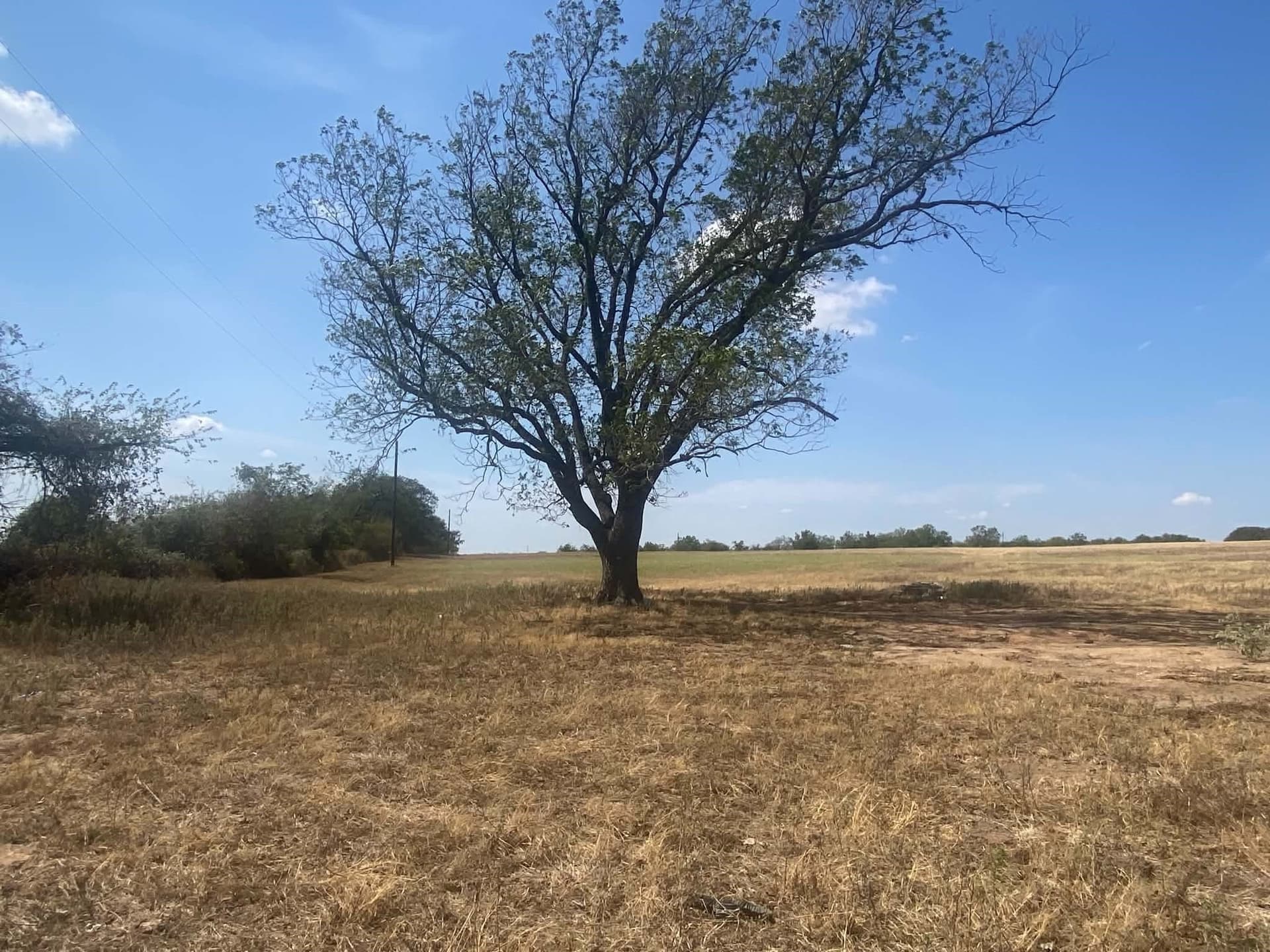 30.64 acres in Erath County - photo 9