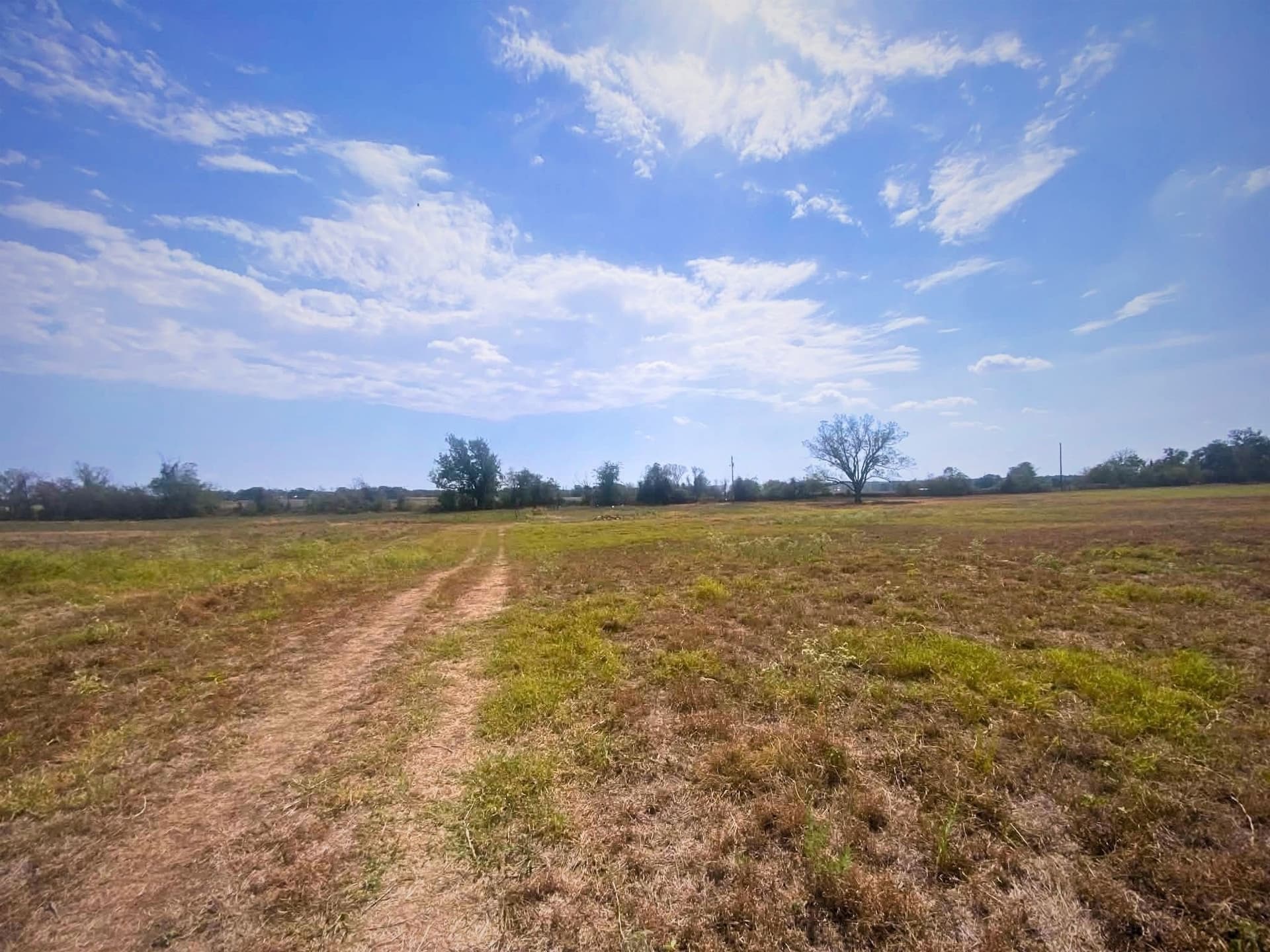 30.64 acres in Erath County - photo 2