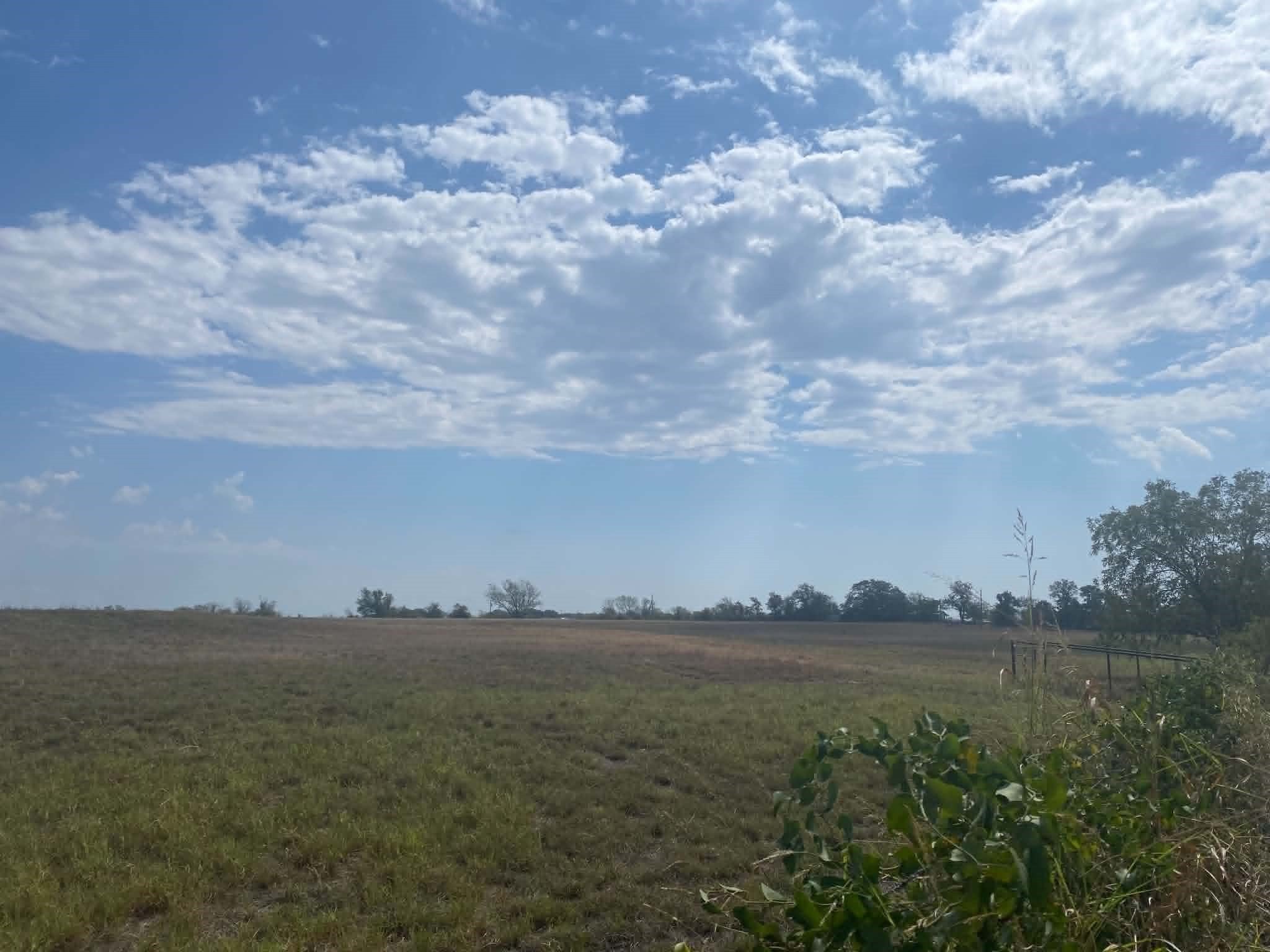 30.64 acres in Erath County - photo 5