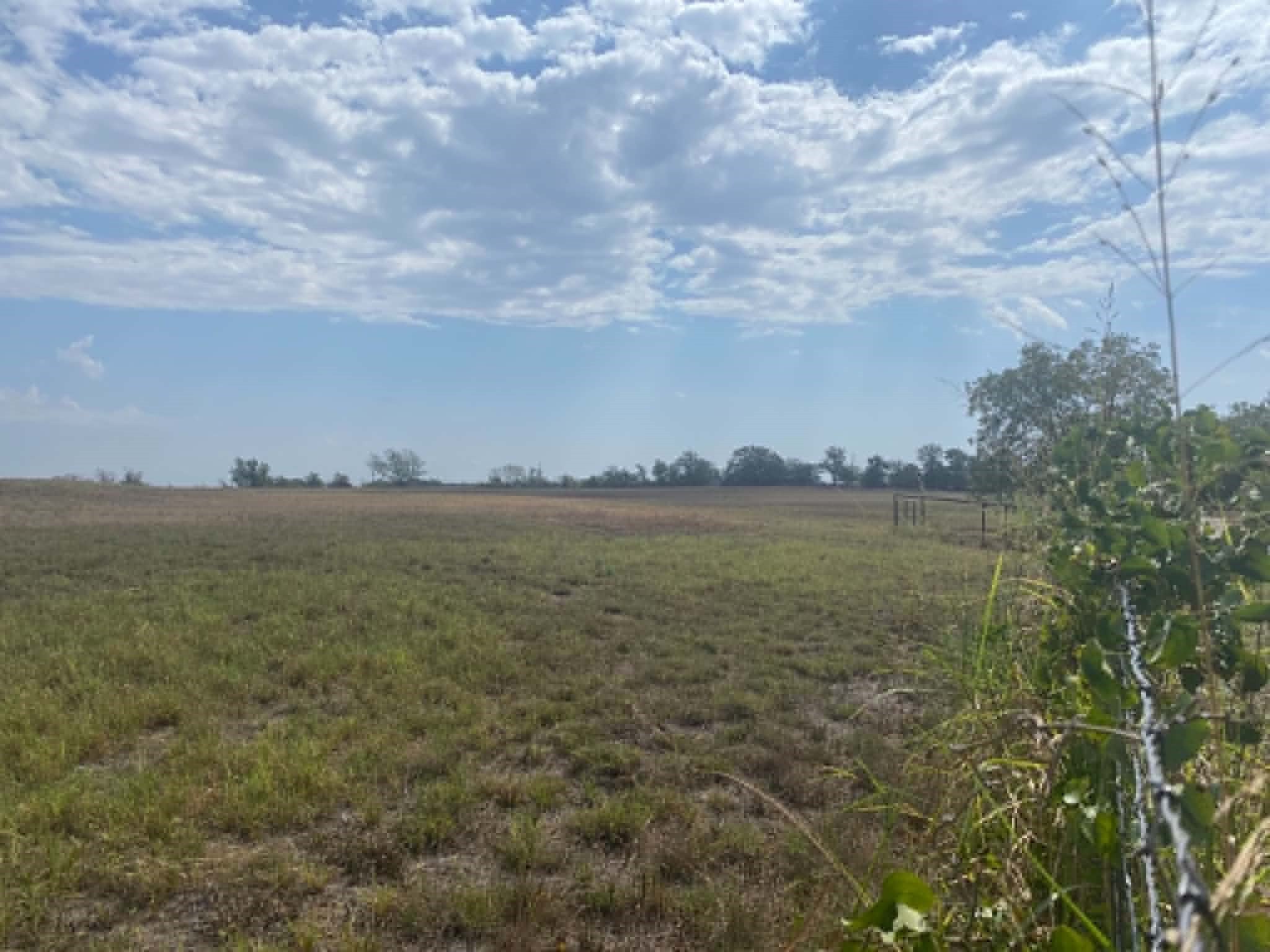 30.64 acres in Erath County - photo 12