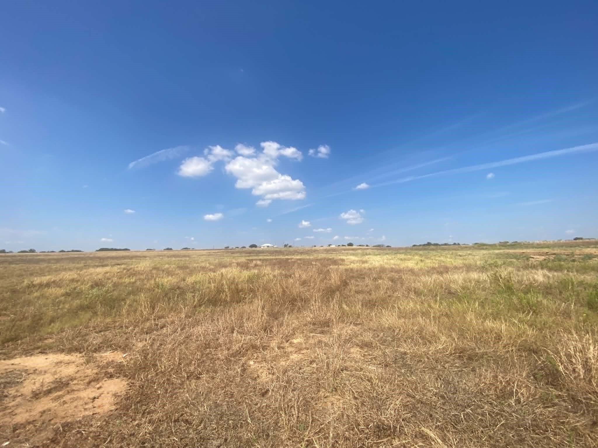 30.64 acres in Erath County - photo 7