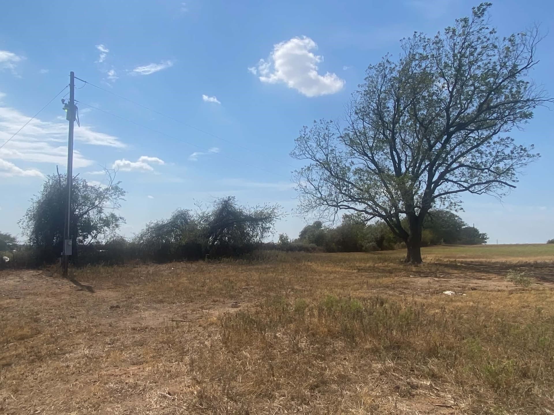 30.64 acres in Erath County - photo 4