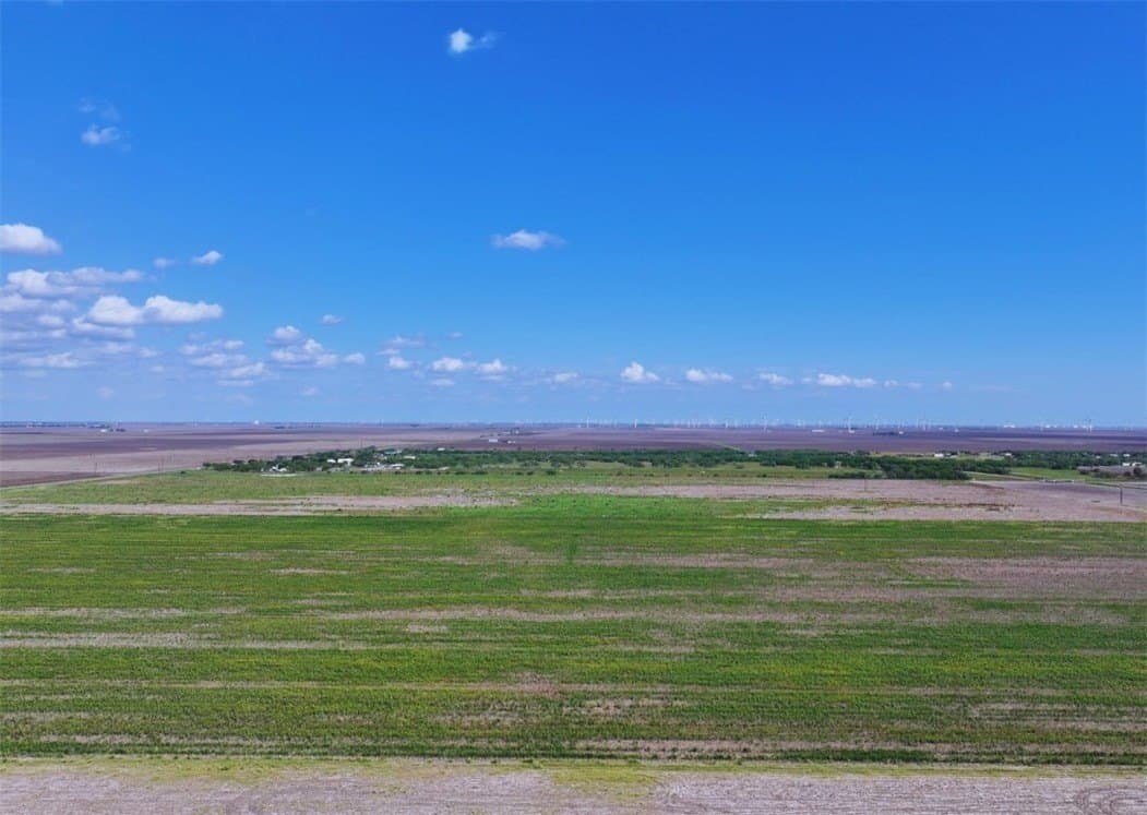 20 acres in San Patricio County - photo 6