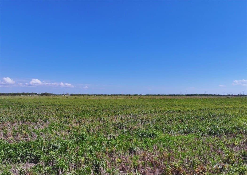 20 acres in San Patricio County featured view