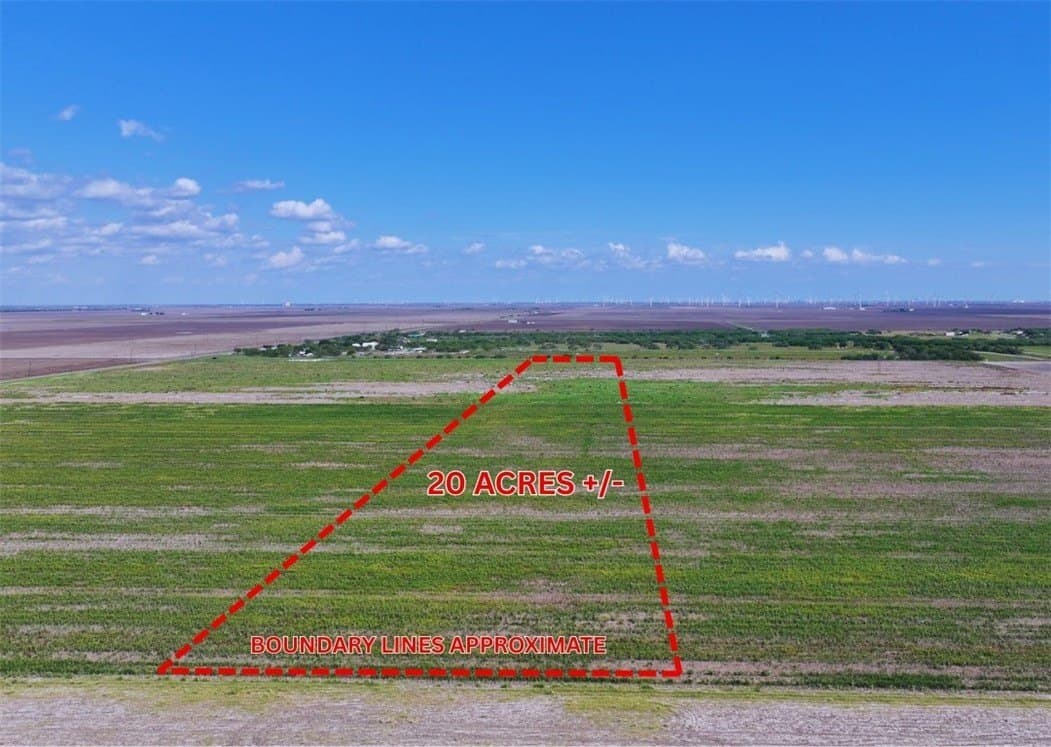 20 acres in San Patricio County gallery image 2