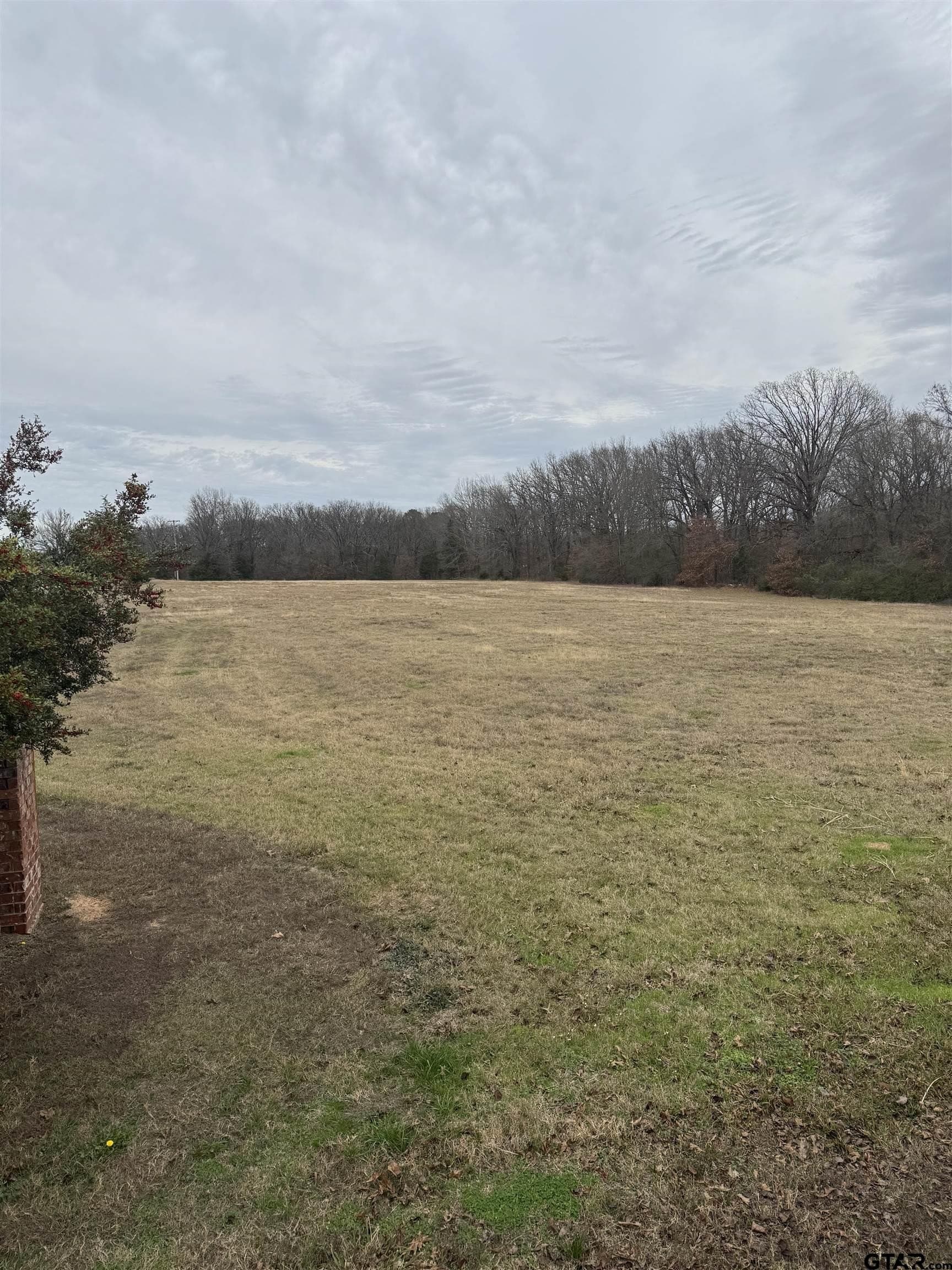 5.3 acres in Titus County gallery image 3