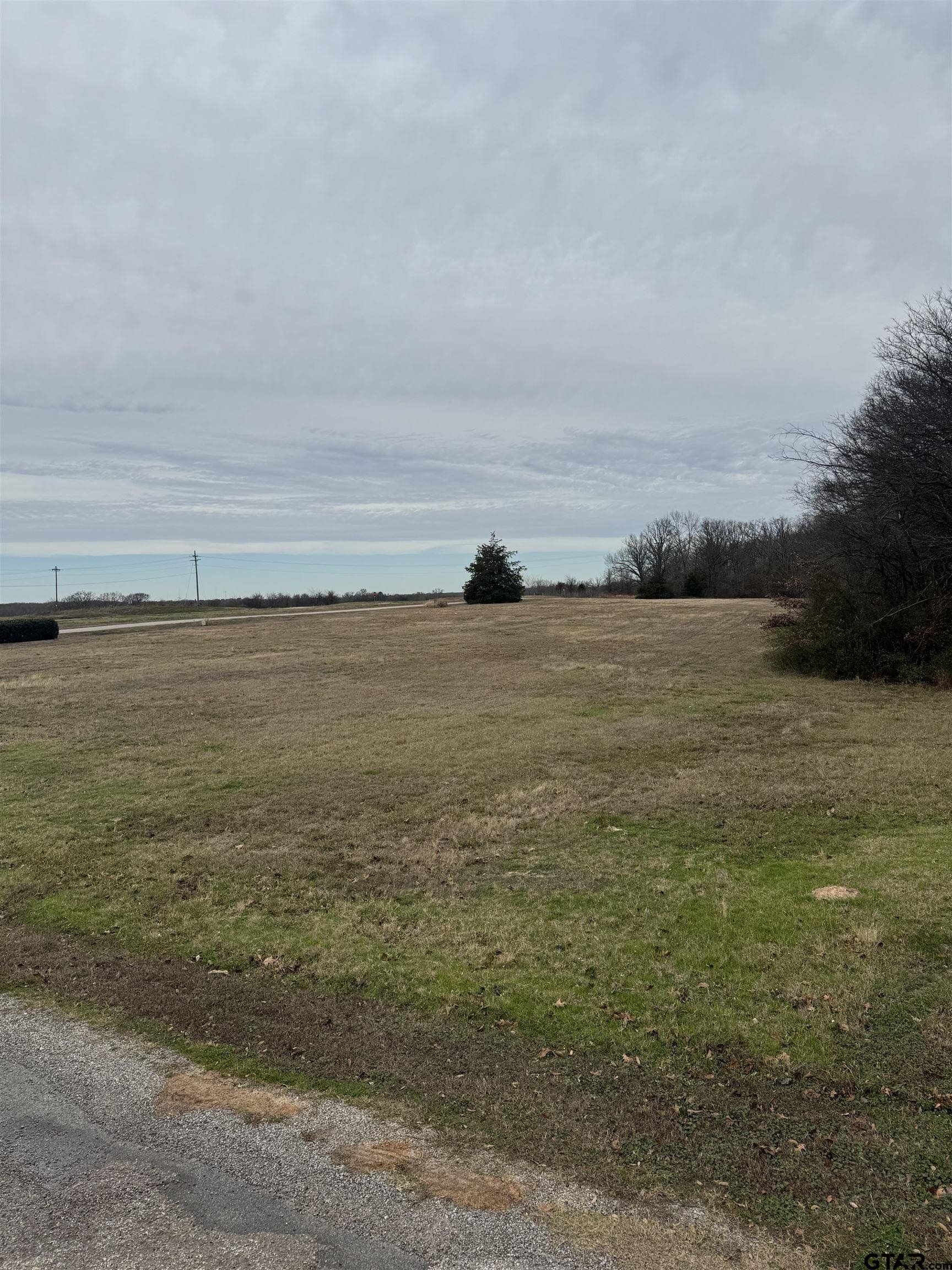 5.3 acres in Titus County gallery image 4