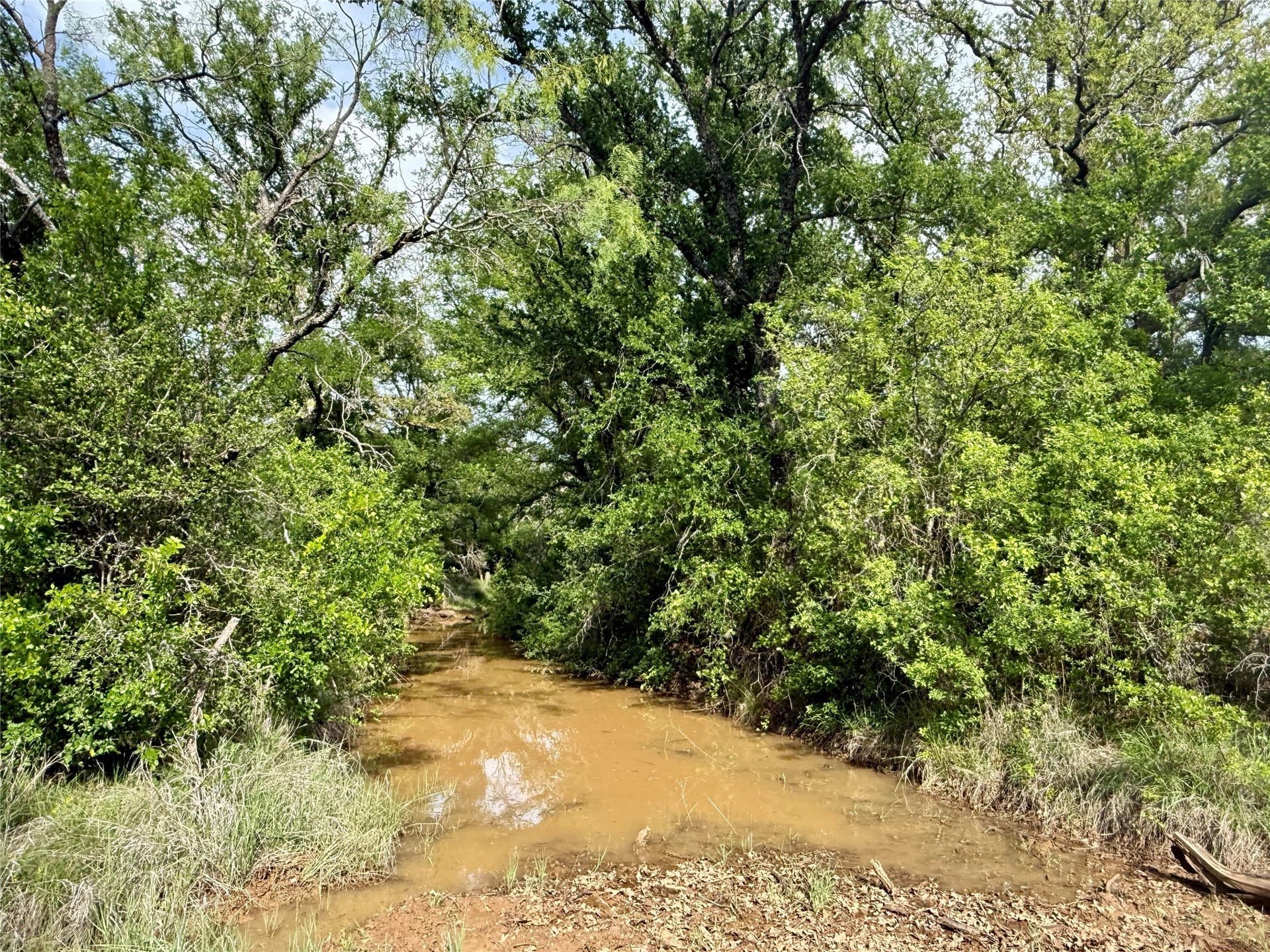 220.96 acres in Brown County - photo 20