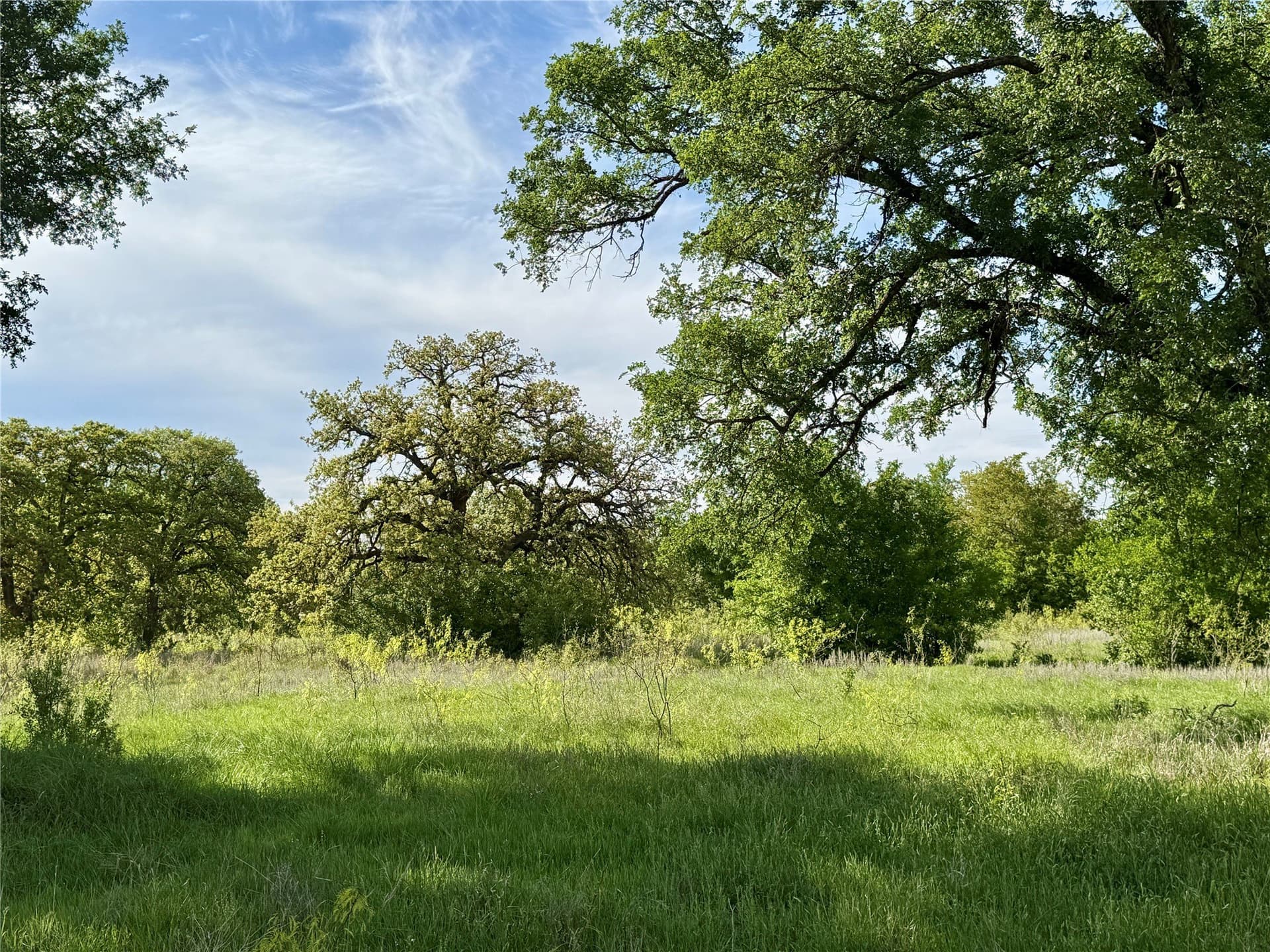 220.96 acres in Brown County - photo 40