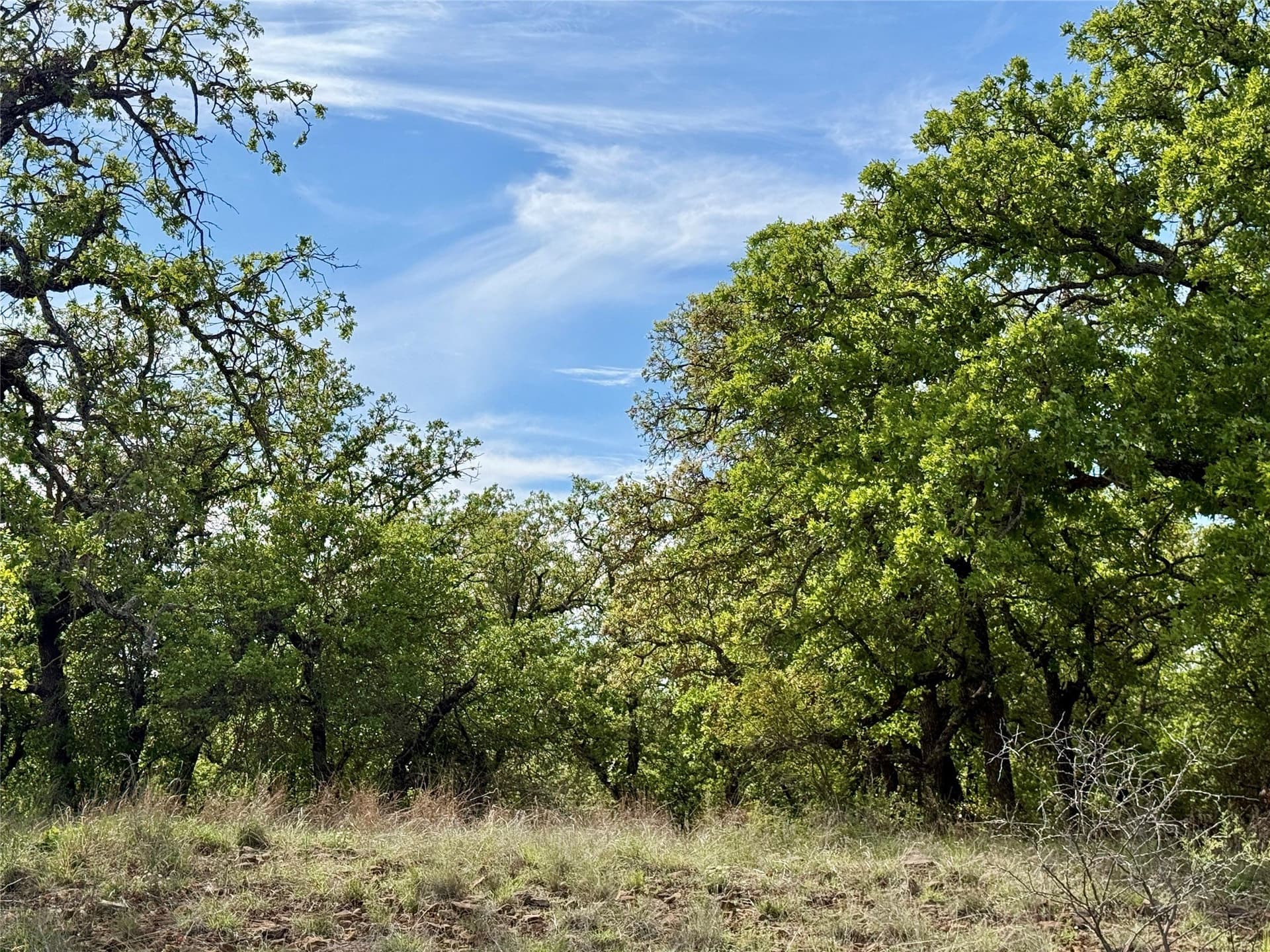 220.96 acres in Brown County - photo 13