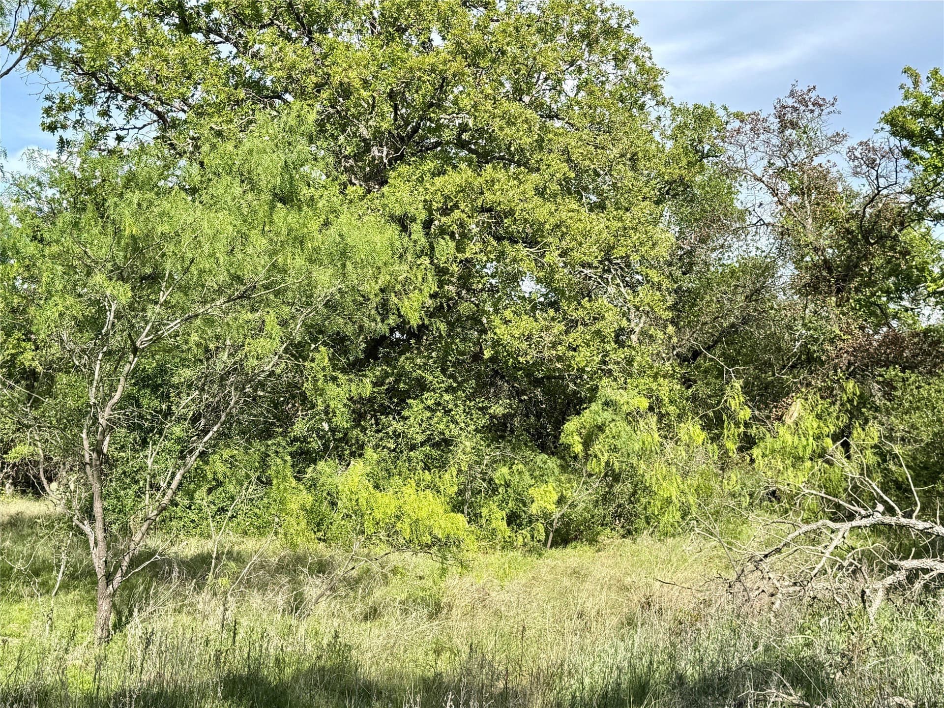 220.96 acres in Brown County - photo 38