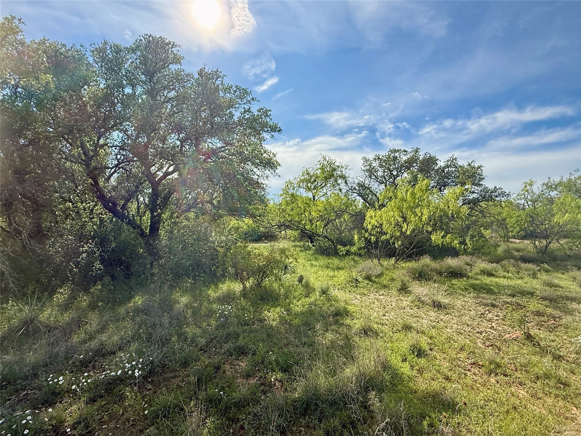 220.96 acres in Brown County - photo 30