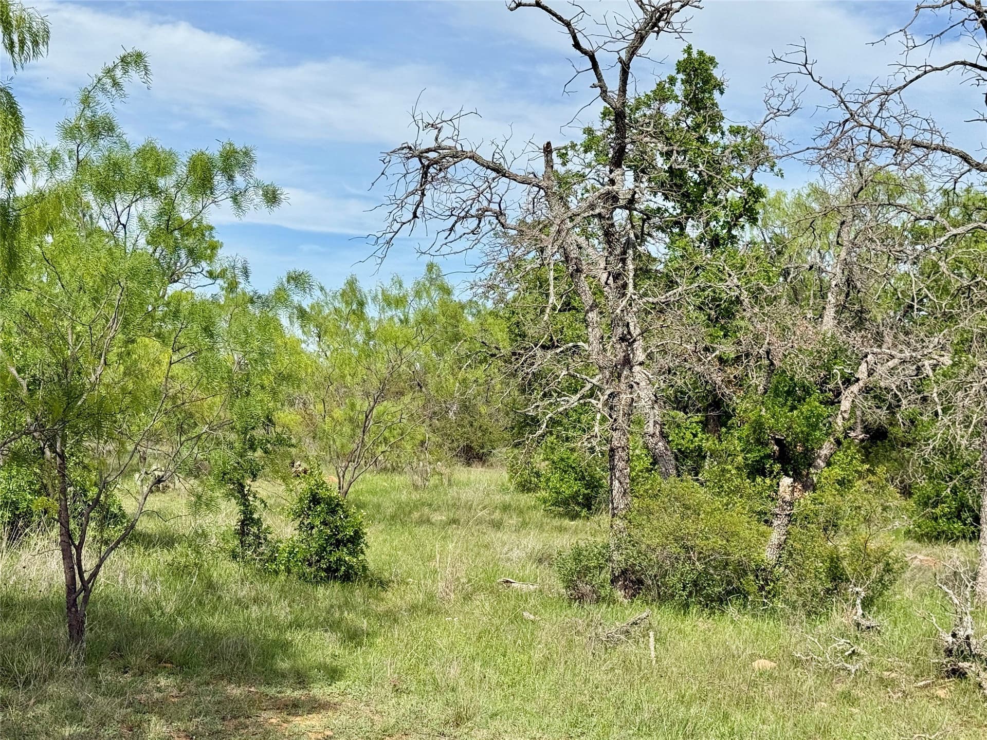 220.96 acres in Brown County - photo 16