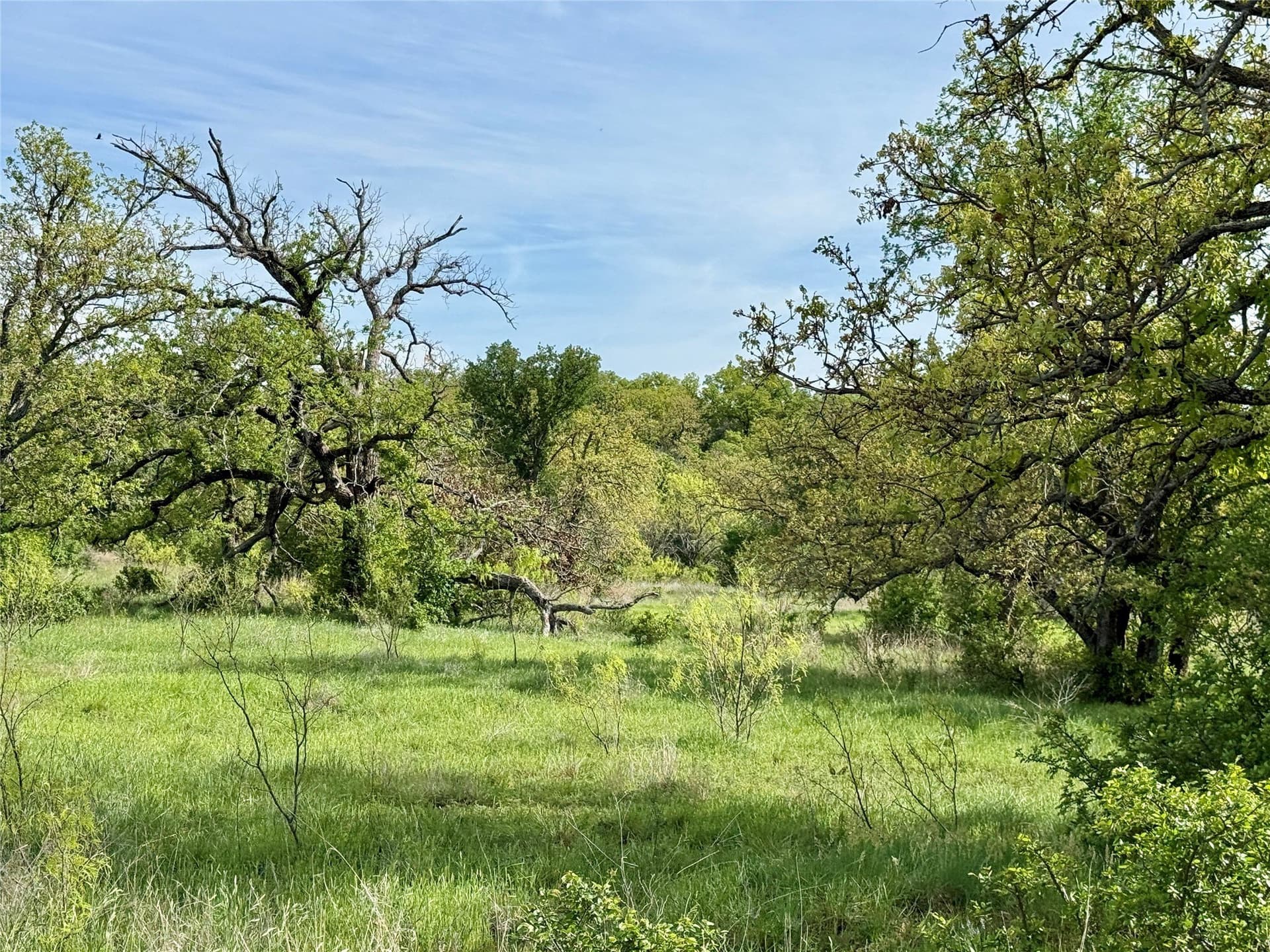 220.96 acres in Brown County - photo 12