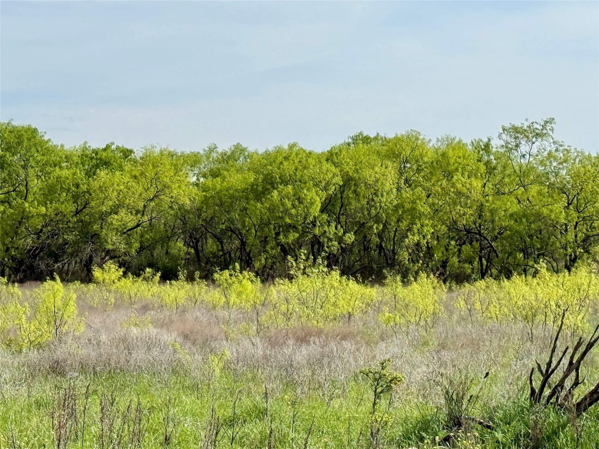 220.96 acres in Brown County - photo 27