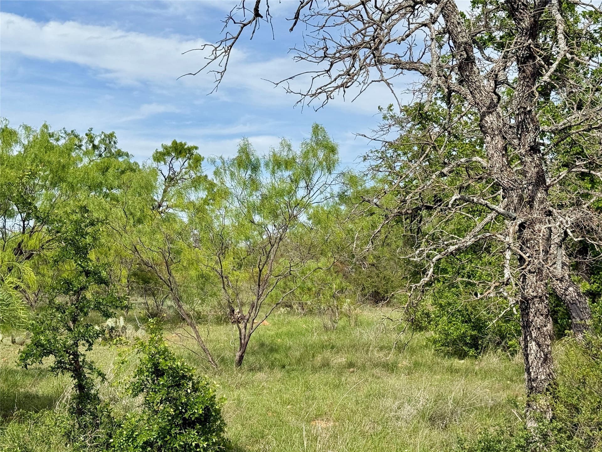 220.96 acres in Brown County - photo 15