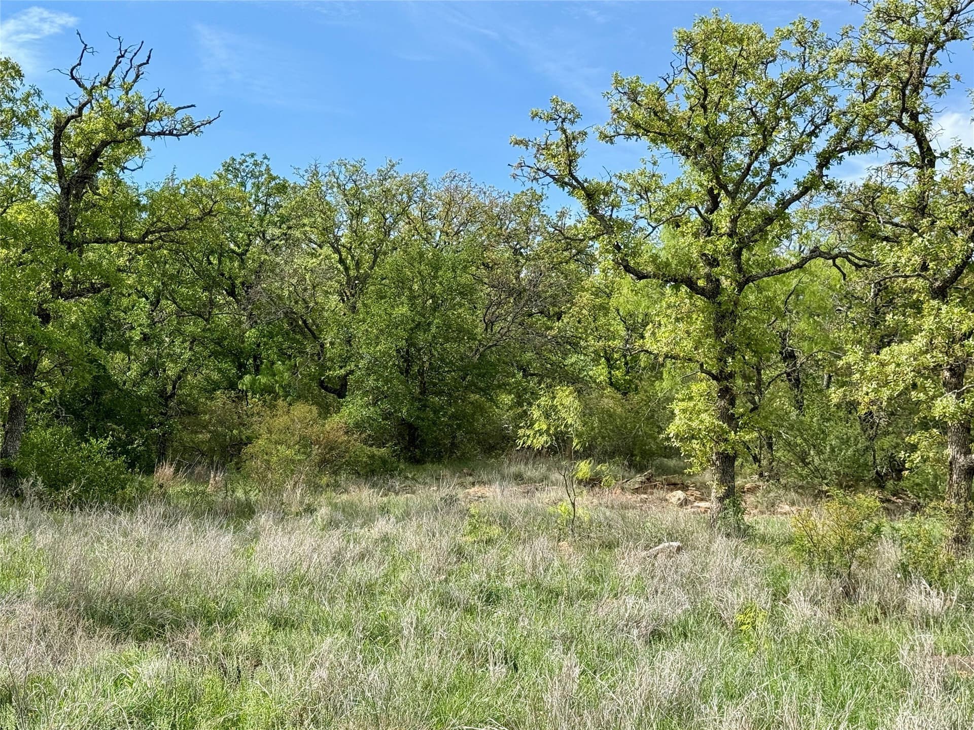 220.96 acres in Brown County - photo 11