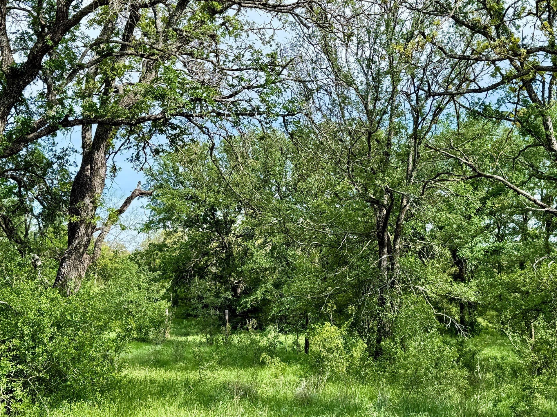 220.96 acres in Brown County featured view