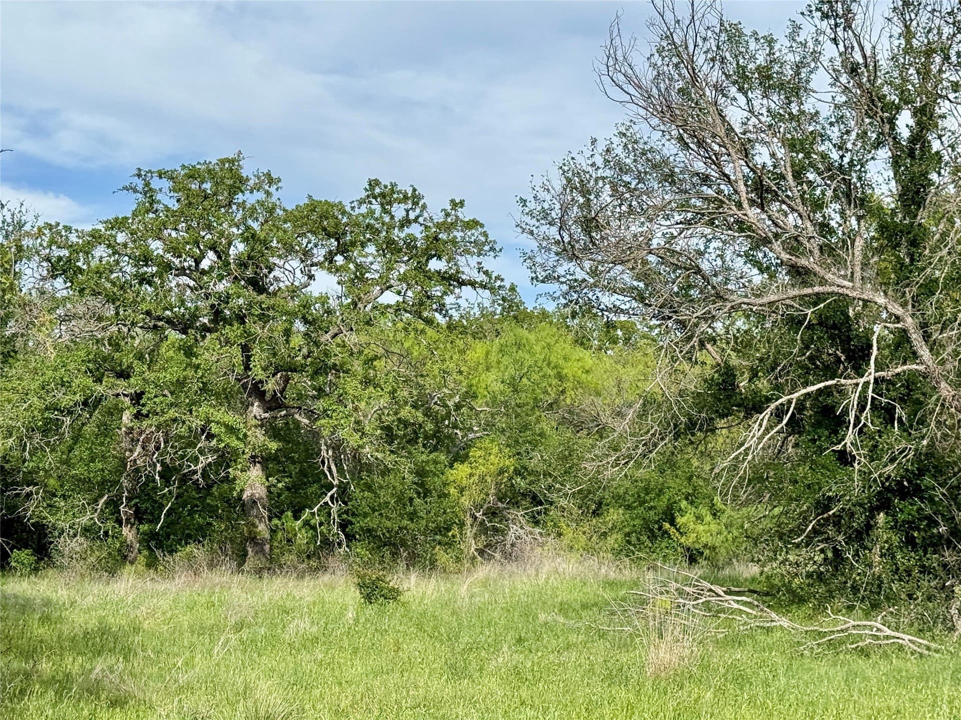 220.96 acres in Brown County - photo 25