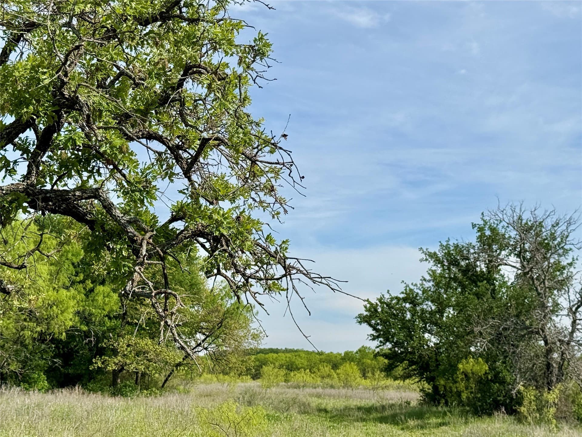 220.96 acres in Brown County - photo 26