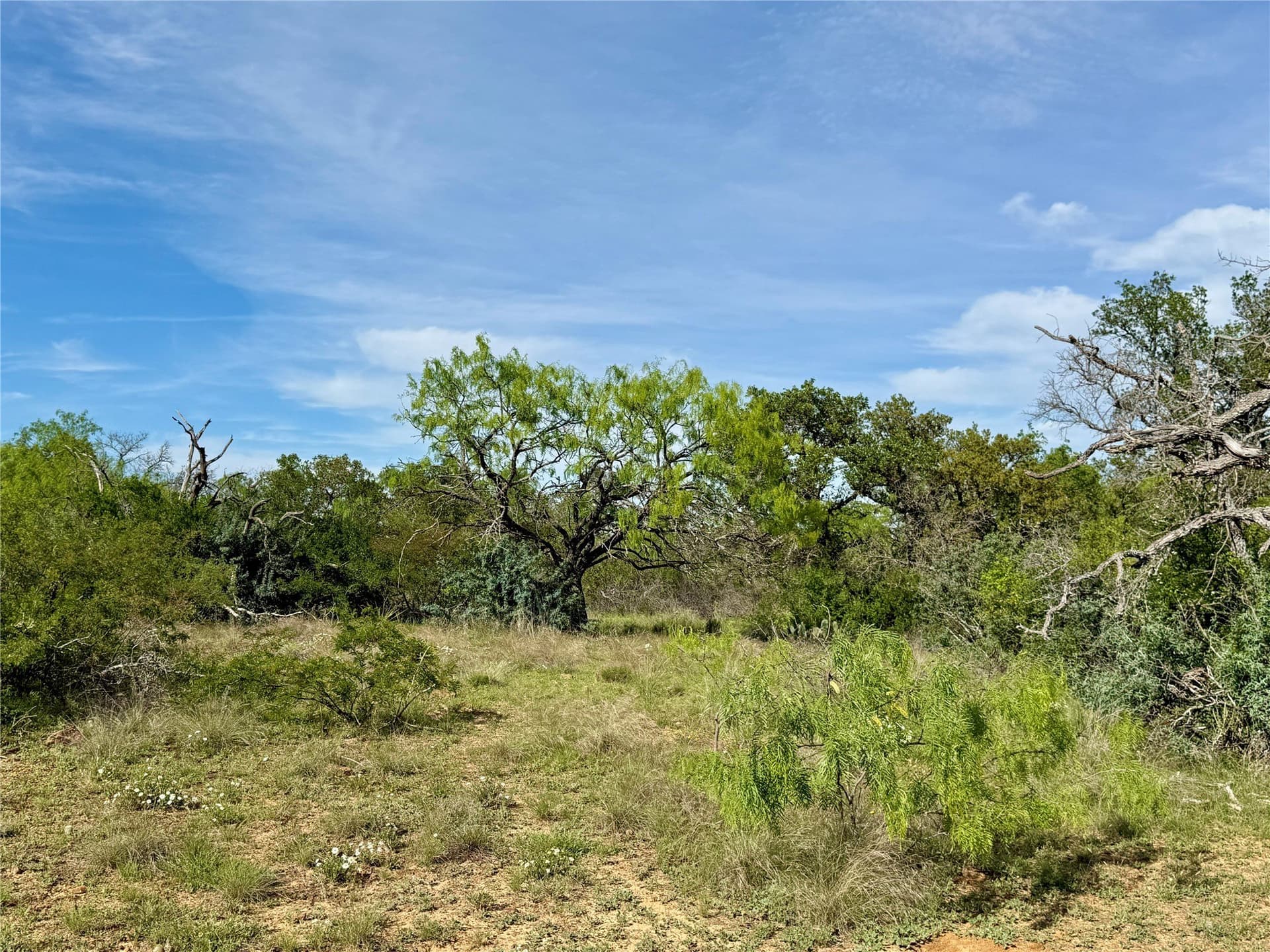 220.96 acres in Brown County - photo 31